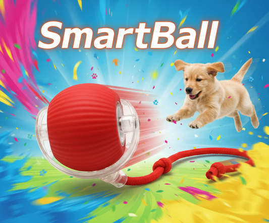 K9Apex Smart Ball